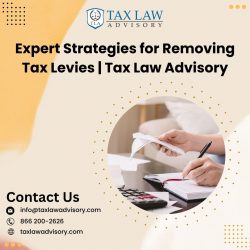 Expert Strategies for Removing Tax Levies | Tax Law Advisory