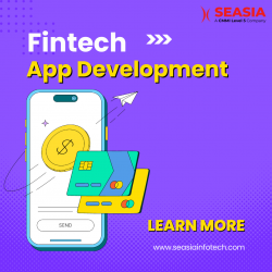 Innovate and Thrive: Tailored Fintech App Development Services