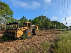 Enhance Your Property Value with Forestry Mulching in Bell Texas