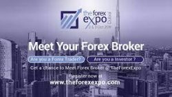 Forex Trading brokers