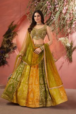 Green and Yellow Panel Style Silk Mehendi Lehenga With Embroidered Blouse-GC4583