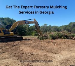 Get The Expert Forestry Mulching Services in Georgia