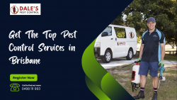 Get The Top Pest Control Services in Brisbane