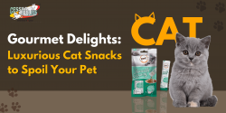 Gourmet Delights: Luxurious Cat Snacks To Spoil Your Pet