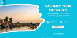 Best of Kashmir Tour Package: Sonmarg, Pahalgam, Gulmarg & Srinagar