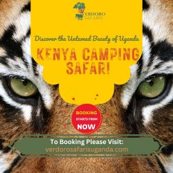 Wild Wanderlust: Adventurous Kenya Safari Tours
