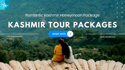 Unveiling Kashmir’s Enchantment with Our Honeymoon Packages