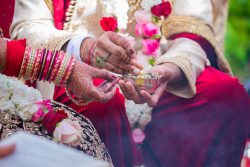 Gujarati Bride for Marriage in USA
