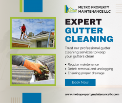 Reliable Gutter Cleaning in Lake Oswego – Metro Property Maintenance LLC