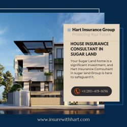 House Insurance Consultant in Sugar Land