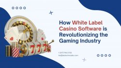 How White Label Casino Software is Revolutionizing the Gaming Industry