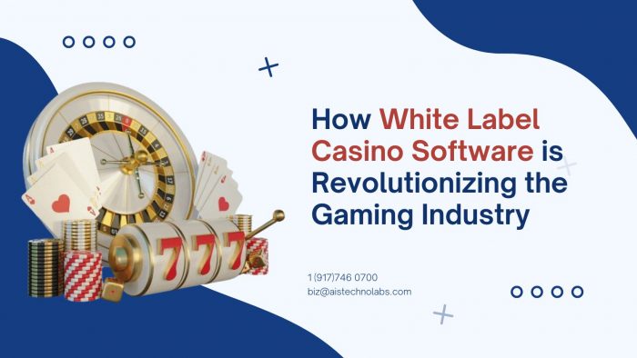 How White Label Casino Software is Revolutionizing the Gaming Industry
