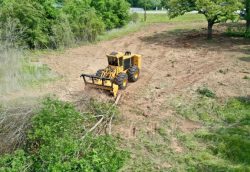 Choose the Right Land Clearing Contractor in Taylor Texas
