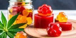 Top 5 Zenleaf CBD Gummies Flavors to Try in 2024
