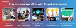 Empowering Businesses with Crowd as a Service