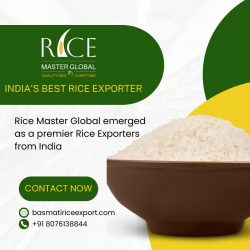 Best Rice Manufacturer in India
