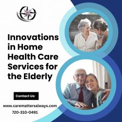 Innovations in Home Health Care Services for the Elderly