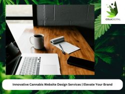 Innovative Cannabis Website Design Services | Elevate Your Brand