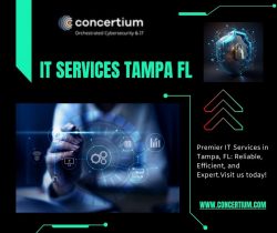 Secure IT Services Tampa FL – Protect Your Data
