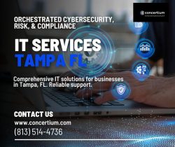 Tampa’s Premier IT Services