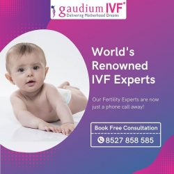 Gaudium IVF – Best Fertility Clinic in Delhi