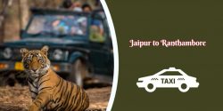 Rajasthan Tour Taxi Service