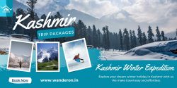 Kashmir Winter Expedition: 5 Nights, 6 Days of Snowy Splendor