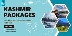 Enchanting Kashmir: A 4N/5D Expedition into Paradise
