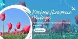Romantic Kashmir Honeymoon Package for 5N/6D