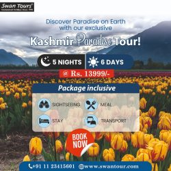 Explore the Beauty of Kashmir with Swan Tours
