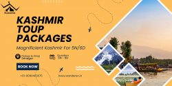 Experience Magnificent Kashmir for 5N/6D