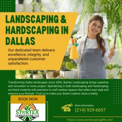Landscaping & Hardscaping in Dallas