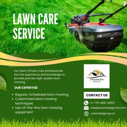 Ready To Transform Your Lawn into a Masterpiece?