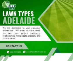 Lawn Types Adelaide