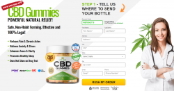 The Next 100 Things To Immediately Do About Lifeheal Cbd Gummies