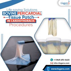 Bovine Pericardial Tissue Patch for Urology