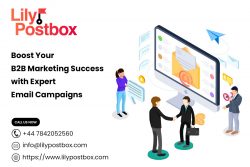 Boost Your B2B Marketing Success with Expert Email Campaigns