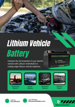 Lithium Vehicle Battery