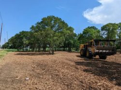 Choose the Right Commercial Land Clearing Service in Stockdale, Texas