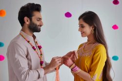 The Love Guru of Delhi – Your Guide to a Blissful Marriage