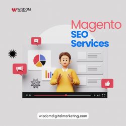 Drive Sales and Revenue with Proven Magento SEO Services