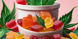 Makers CBD Gummies Does It Work Or Not?