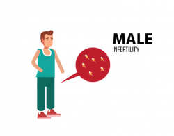 Understanding Male Infertility: Dr. Mazen IVF Offers Solutions