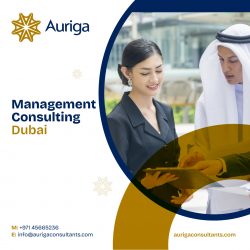 Management consulting Dubai