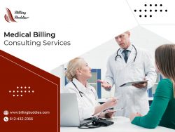 Medical Billing Consulting Services