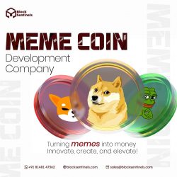 Why Is Meme Coin Development Important?