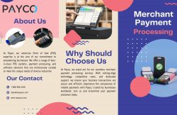 Grow Your Business with Payco’s Expert Merchant Services Consultants
