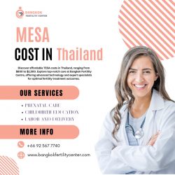 Mesa Cost in Thailand
