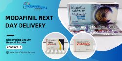 Accelerate Your Goals: Modafinil’s Next-Day Delivery Service in the USA