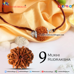 Buy 9 Mukhi Rudraksha From Rashi Ratan Bhagya At Genuine